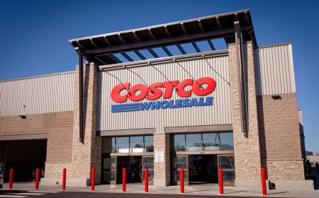 Three Dividend Champions for 2026: Coca-Cola (KO), Philip Morris (PM), and Costco (COST) Lead the Pack