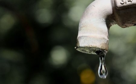 Europe told to cool its datacenter boom before water and power run short
