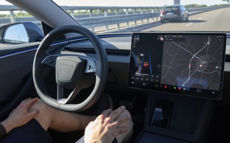 Musk's Europe gamble: Will others follow the Dutch and approve FSD?