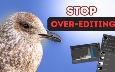 Five Editing Mistakes That Make Your Bird Photos Look Fake