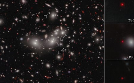 "Little red dot" in early Universe is a naked supermassive black hole