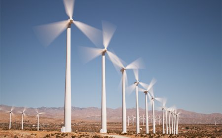 Trump administration cites national security in stalling 165 wind farms