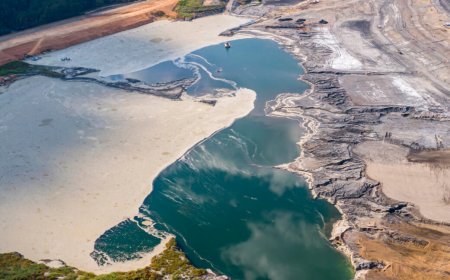 Environmentalists turn out in force to oppose Trump coal ash rollbacks