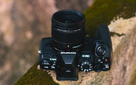 The Most Underrated Micro Four Thirds Lens Right Now
