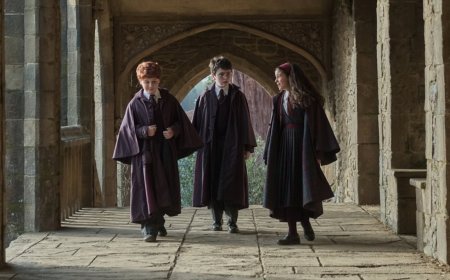 HBO bosses 'forced to microchip broomsticks and wands on set of Harry Potter series after thieves make off with number of magical props'