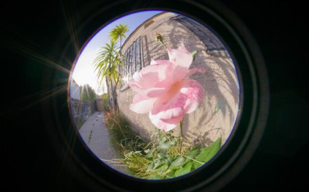 Review of the New Laowa CF 4.5-10mm f/2.8 Fisheye Zoom