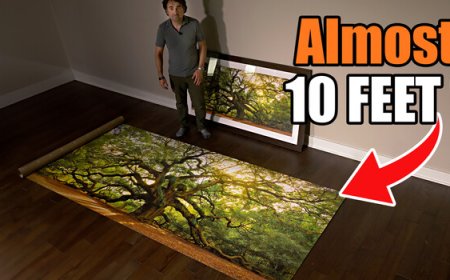 I Printed a 10 Foot Image and It Was Almost TOO Big
