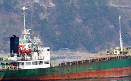 US Central Command disables Iran-bound cargo ship with missile strike in Gulf of Oman