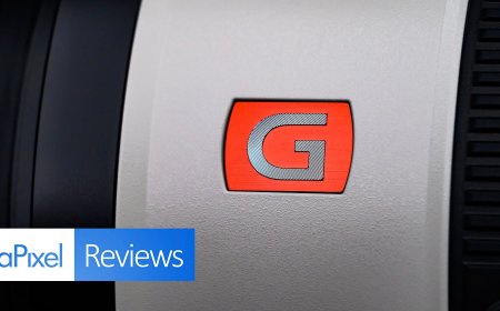 Sony 100-400mm f/4.5 GM OSS Review: Zoom Zoom