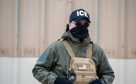 DHS abuses 1930s customs law in attempt to get data on Canadian from Google