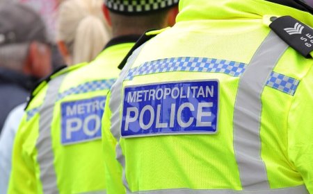 London cops post £300M tech shopping list after Palantir contract blocked