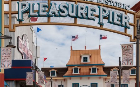 8 Rescued After Roller Coaster Mishap Left Riders Stuck 100 Feet High