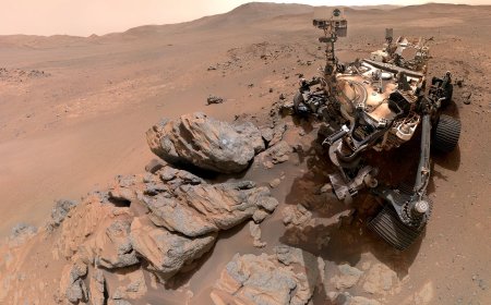 NASA’s Perseverance Rover Sends Stunning Selfie From Mars’ Lac de Charmes Region