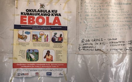 Ebola outbreak: WHO declares emergency, US restricts travel, American infected