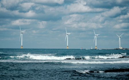 'We're buzzing': Octopus Energy is giving away more free electricity to its 8 million customers — and it could stop the UK wasting £1.5 billion to shut down wind farms