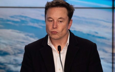 Elon Musk tried to hire OpenAI founders to start AI unit inside Tesla
