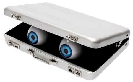 Maker packs an opinionated, googly-eyed AI chatbot into a mobile suitcase, powered by an Nvidia Jetson — entirely local machine entity runs Gemma 4 E4B and can respond in 200ms