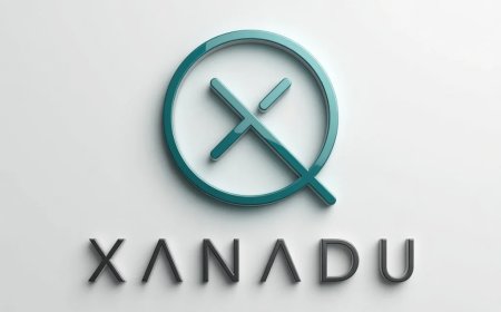 Xanadu Quantum (XNDU) Shares Plunge Over 50% Following Massive Registration Filing