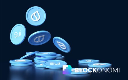 Beyond the Price Drop: How SUI Blockchain Kept Building Through the Market Downturn