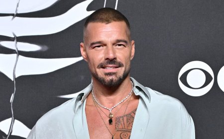 Ricky Martin concert in Montenegro comes to a halt as fan sprays tear gas toward the stage