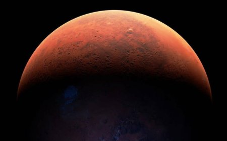 SpaceX scrubs Starship launch with seconds to go