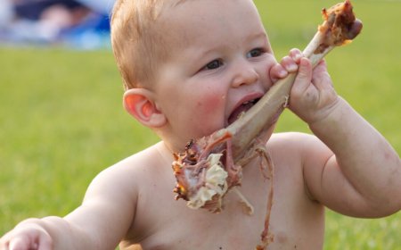 Google is cannibalizing the web to feed AI