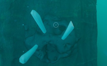 Where to find creature enamel in Subnautica 2