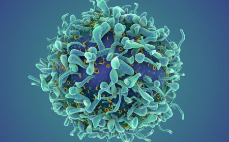A revolutionary cancer treatment could transform autoimmune disease