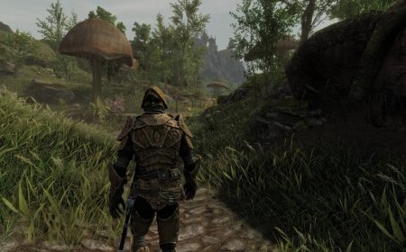 Skywind's latest update highlights the impressive total conversion mod turning Skyrim into Morrowind