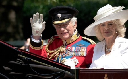 Royal Household seeks £3M finance system fit for a King