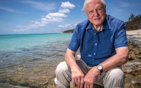 As David Attenborough Turns 100, Watch His Greatest Moments on YouTube