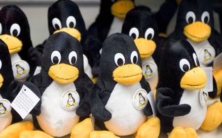 CISA flags actively exploited ‘Copy Fail’ Linux kernel flaw enabling root takeover across major distros — unpatched systems may remain vulnerable to attack