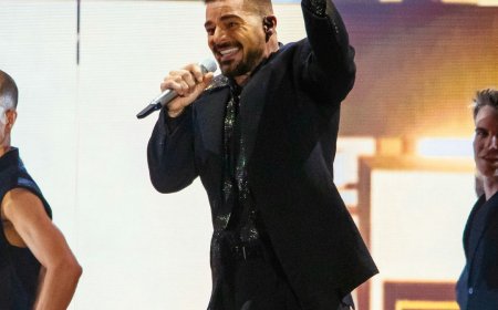 Ricky Martin's Concert Abruptly Stops After Attendee Sprays Tear Gas