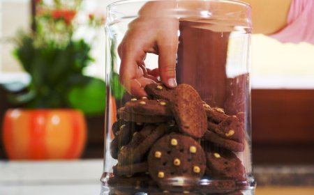 Cookie thieves caught stealing dev secrets via fake Claude Code installers