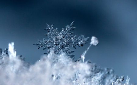 Snowflake buys Natoma to help freeze out rogue agents