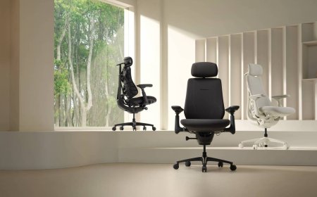 Introducing The LiberNovo Maxis, A Series Of Office Chairs For Bigger And Taller Users