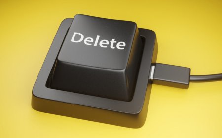 Twin brothers wipe 96 gov't databases minutes after being fired
