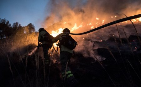 Forecasters predict wildfires, floods, severe heatwaves from incoming El Niño