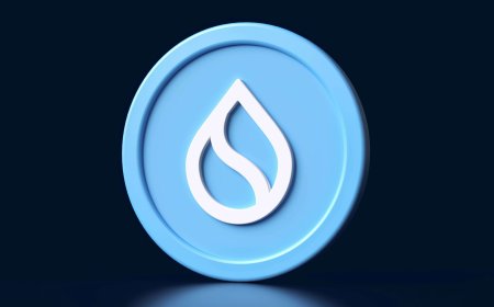 Sui Network Suffers Second Major Outage in Five Months as SUI Token Drops 5.4%