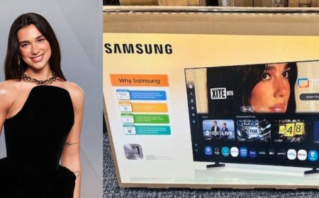 Dua Lipa Sues Samsung for $15 Million Over Her Photo on TV Boxes