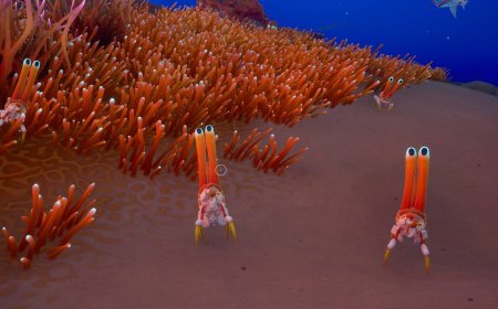 Subnautica 2 has no combat, and that's a good thing