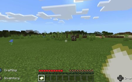 Minecraft-streaming gran swatted while raising cash for grandson's cancer care