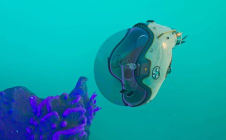 How to get a tadpole submarine in Subnautica 2