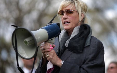 Erin Brockovich starts tracking AI data centers, calls on affected communities to submit issues — website shows more than 2,700 reports from across the US raising various concerns