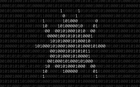 Mystery Microsoft bug leaker keeps the zero-days coming