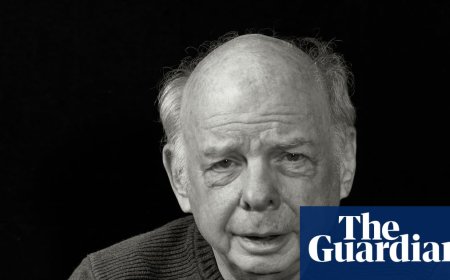‘A lot of people don’t think I can act’: Wallace Shawn on Hollywood, therapy and speaking out on Palestine