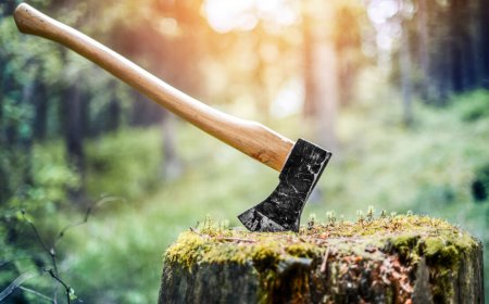 HackerOne takes an axe to its bug bounty rewards