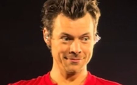 Harry Styles' fans get engaged at his concert after admitting they met at a Niall Horan gig