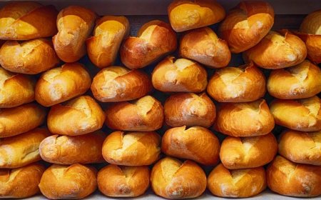 Bun posts Rust porting guide, says rewrite is still half-baked