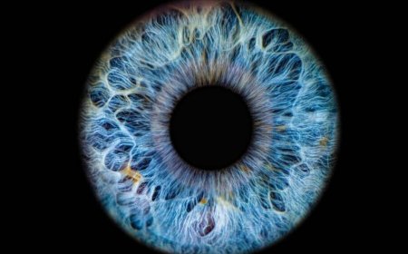ICE to keep an eye on your eyes under $25M biometric scanner deal